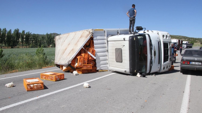 Devrilen tırdaki yüzlerce tavuk telef oldu