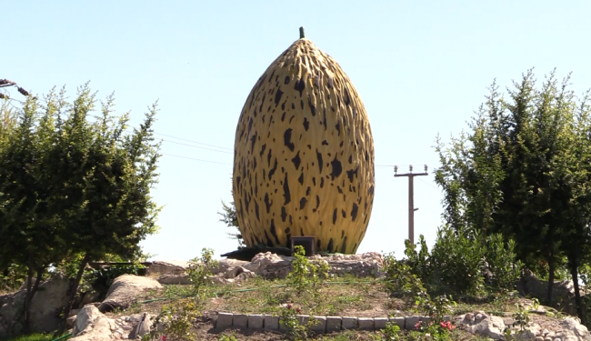 Kırkağaç kavununu Avrupa'ya tanıtmak için çalışmalar başlatıldı