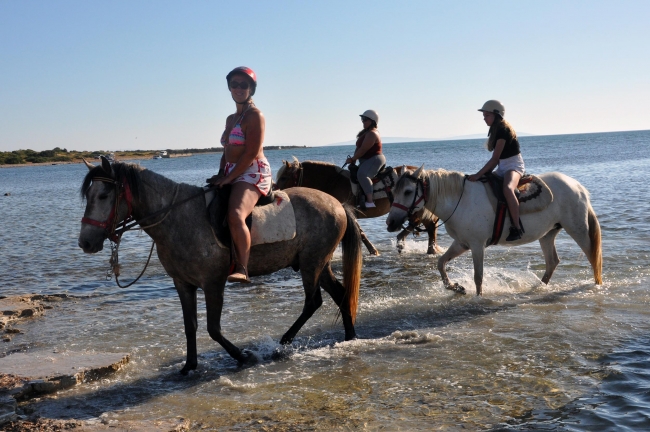 Didim'de atlı safari turları ilgi çekiyor