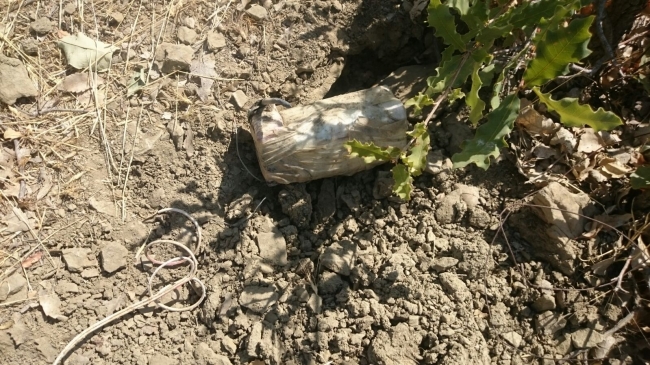 Diyarbakır'da terör operasyonu