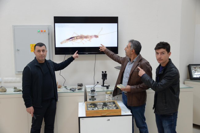 Diyarbakır'da yeni bir böcek türü bulundu