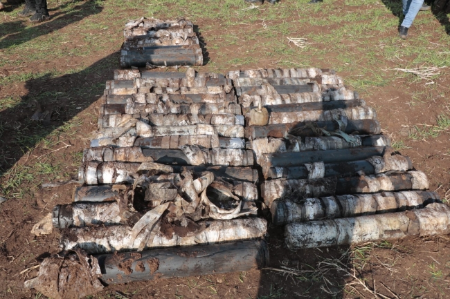 Diyarbakır'da terör örgütünün cephaneliği ele geçirildi: 20 gözaltı
