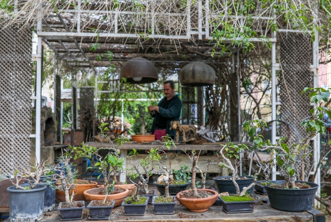 Doğadan topladığı odun parçalarına hayat veriyor