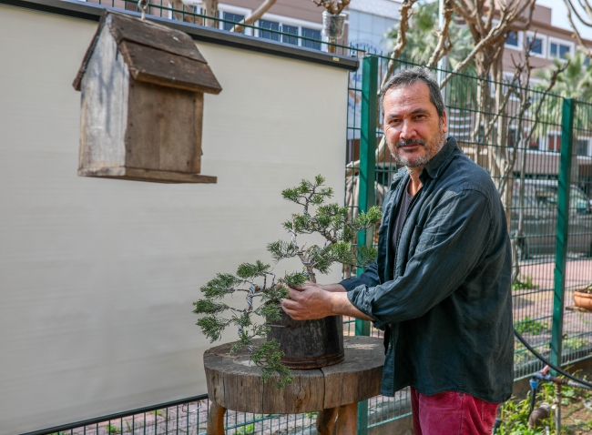 Doğadan topladığı odun parçalarına hayat veriyor