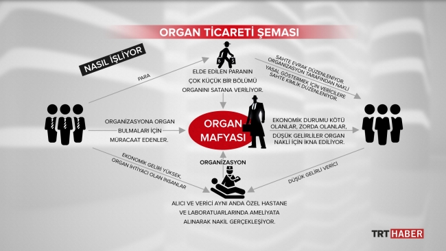 İstanbul'da organ kaçakçılığı operasyonu: 4 kişi suçüstü yakalandı