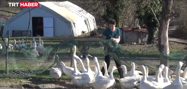 Kentten köye göç eden aile doğal yaşam sürüyor