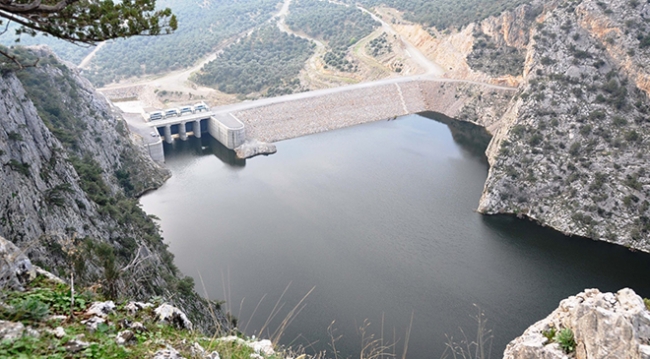 Yarasalara suni mağaralarda yeni yaşam alanı oluşturuldu