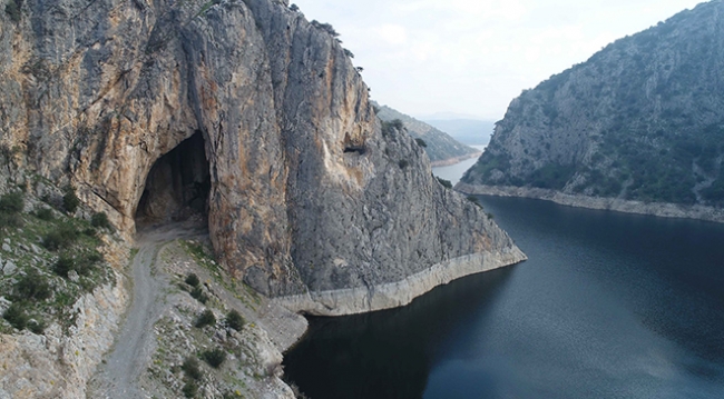 Yarasalara suni mağaralarda yeni yaşam alanı oluşturuldu