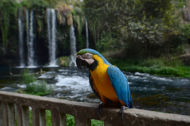 Düden Şelalesi ziyaretçilerine görsel bir şölen sunuyor