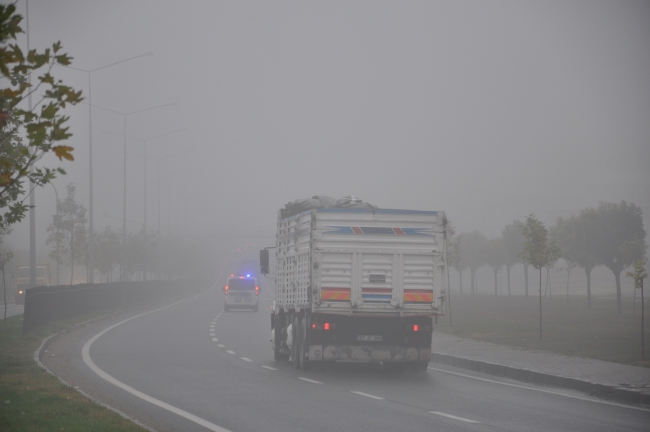 Gaziantep, Kilis ve Şanlıurfa'da yoğun sis etkili oldu