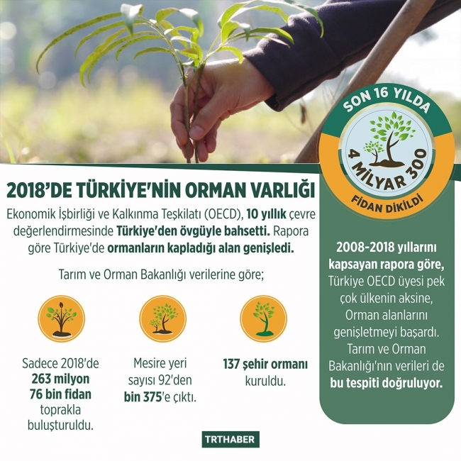 Dünya Çevre Günü'nün 2019 teması "hava kirliliğiyle mücadele"