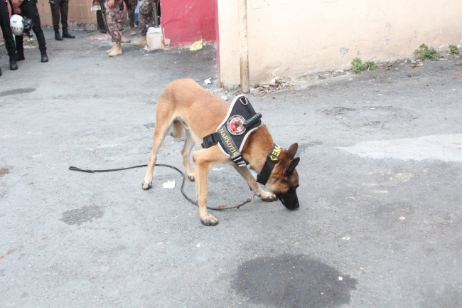 Sarıyer'de uyuşturucu operasyonu