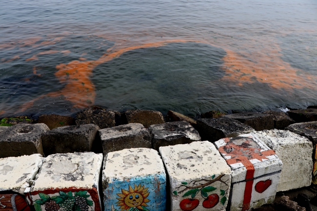 Tekirdağ sahilinde deniz suyu turuncuya büründü