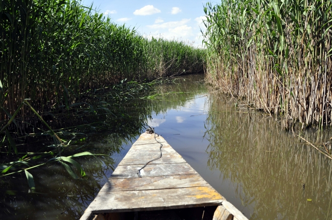 Doğa harikası Eber Gölü'nün korunması için belgesel çekilecek