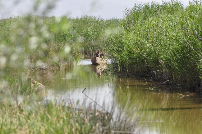Doğa harikası Eber Gölü'nün korunması için belgesel çekilecek