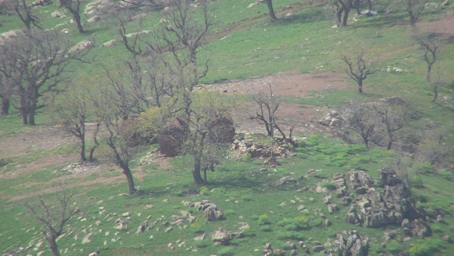 Irak'ın kuzeyinde 5 terörist etkisiz hale getirildi