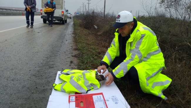 Yaralı şahine polis şefkati
