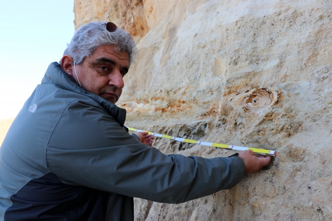 Edirne'de 8 milyon yıllık mamut fosilleri bulundu