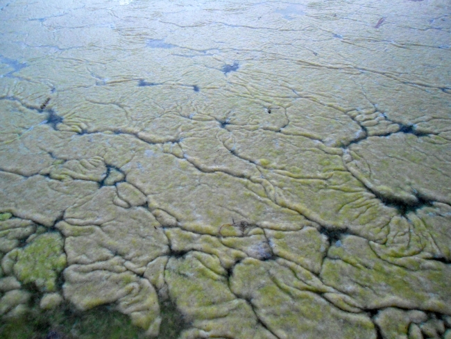 Eğirdir ve Beyşehir göllerinde 'dip suyu' alarmı