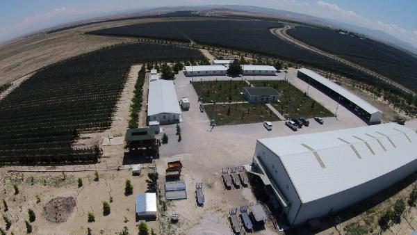 Niğde'deki dev bahçeden yılda 20 bin ton elma toplanıyor