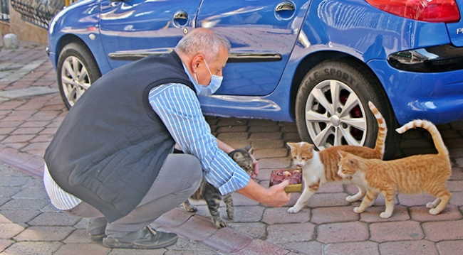 Emekli maaşıyla mahalledeki sokak kedilerine bakıyor