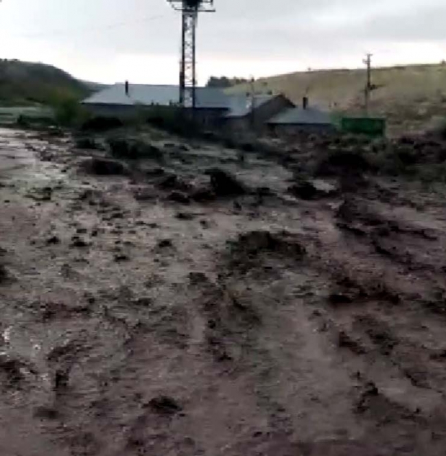 Van'daki taşkında 15 küçükbaş hayvan telef oldu