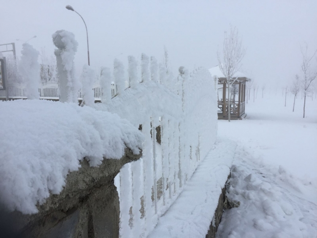 Doğu Anadolu'da her yer buz tuttu