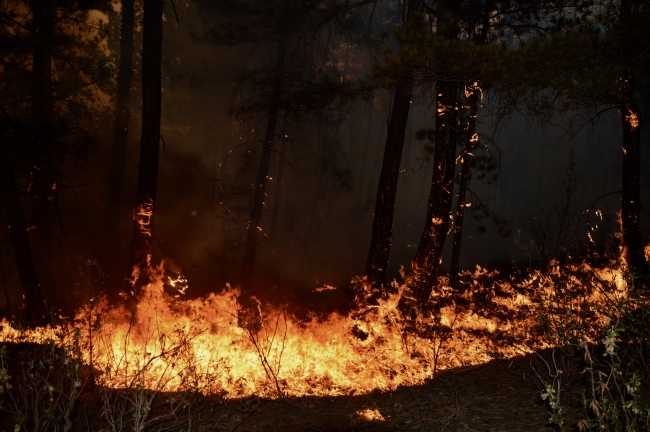 Eskişehir'deki yangın kontrol altına alındı