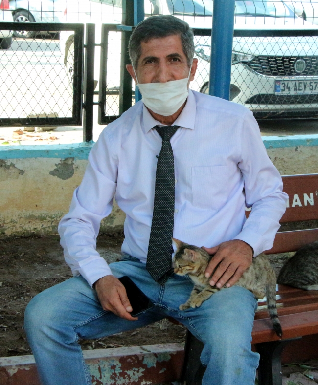 'Popülasyonda ciddi artış var, 5 yıl sonra insanlar sokağa çıkamaz hale gelecek'