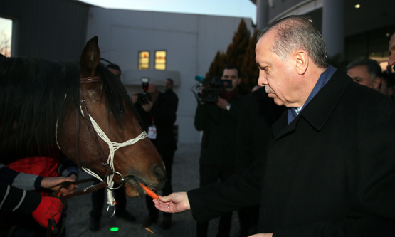 Cumhurbaşkanı, Malatya Büyükşehir Belediyesini ziyaret etti