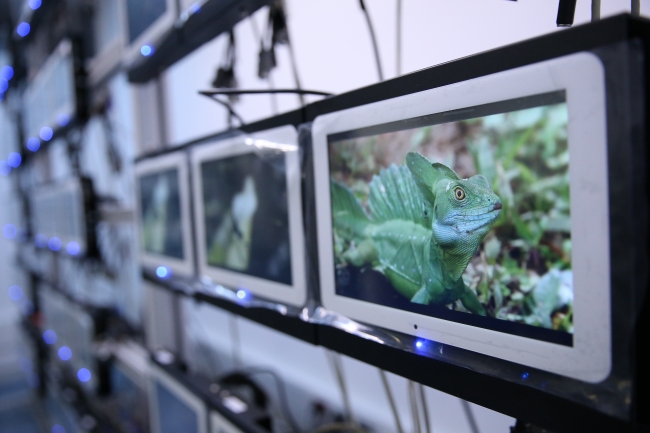 Yerli kablosuz uçak içi eğlence sisteminin ilk kullanıcısı THY oldu