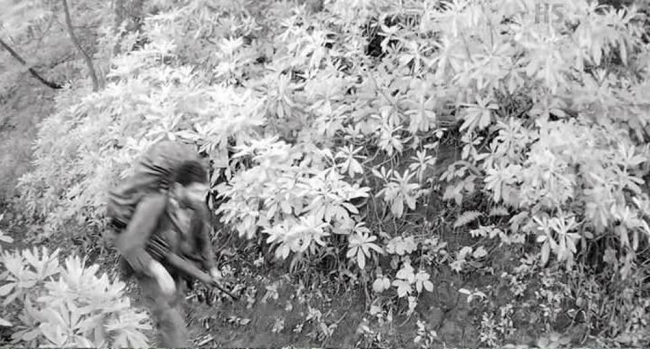 Eren Bülbül'ü şehit eden teröristler fotokopana yakalandı