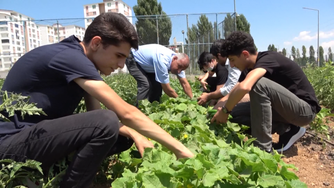 Fotoğraf: TRT Haber