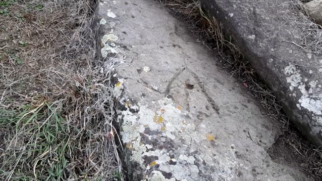 Fotoğraf: TRT Haber