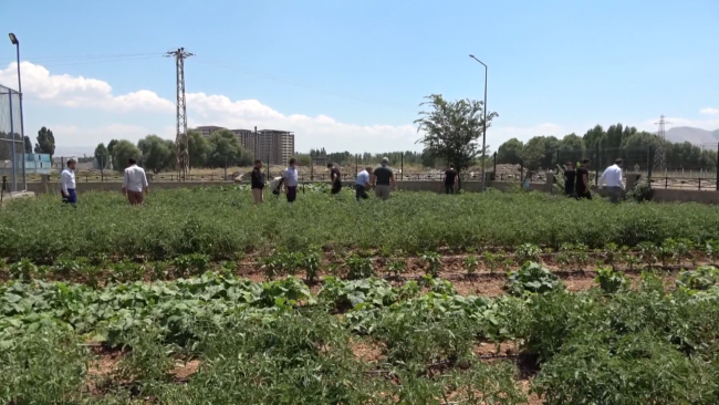 Fotoğraf: TRT Haber