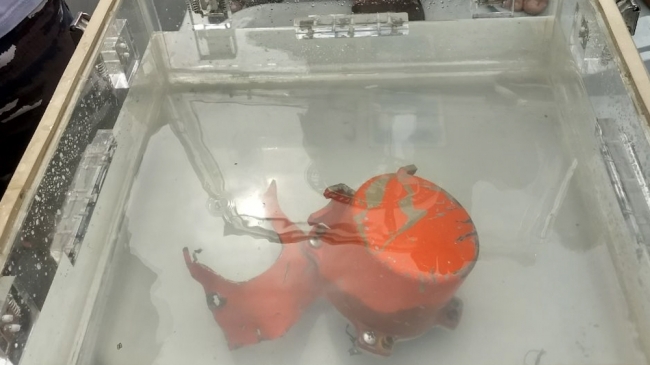 Endonezya'da düşen uçağın ikinci kara kutusu bulundu