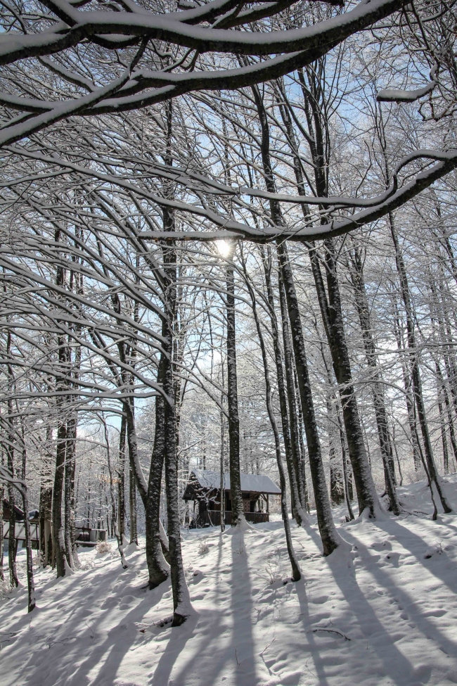 Domaniç Dağları'nda görsel şölen