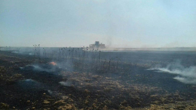 Tel Rıfat'ta terör örgütü YPG/PKK sivillerin arazilerini yaktı