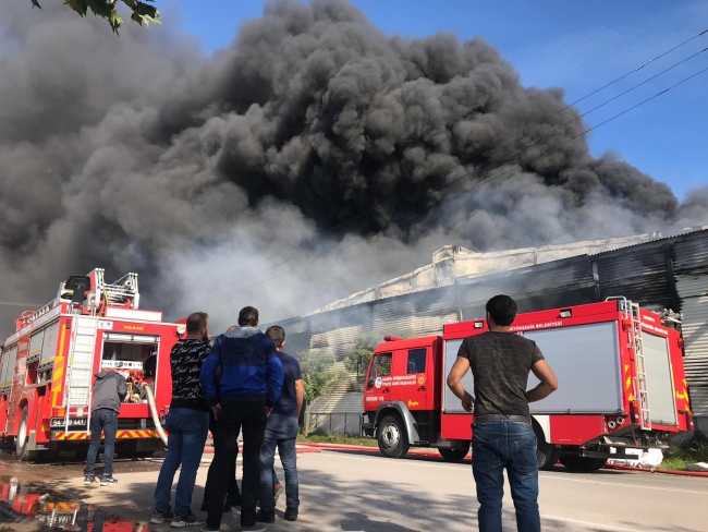 Sakarya'da kereste fabrikasında çıkan yangın söndürüldü