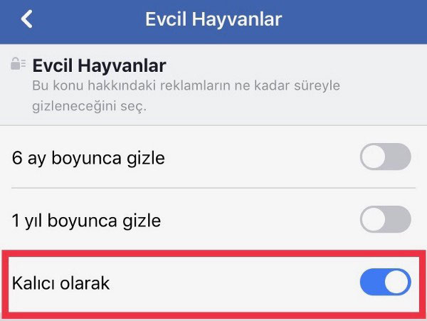 Panoptikon çağı ve Facebook'un yeni reklam tercihleri