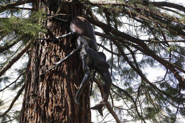 Nesli tükenen hayvanları, heykelleriyle yaşatıyor