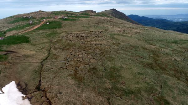 Türkiye'nin en büyük turba bataklığı koruma altına alındı