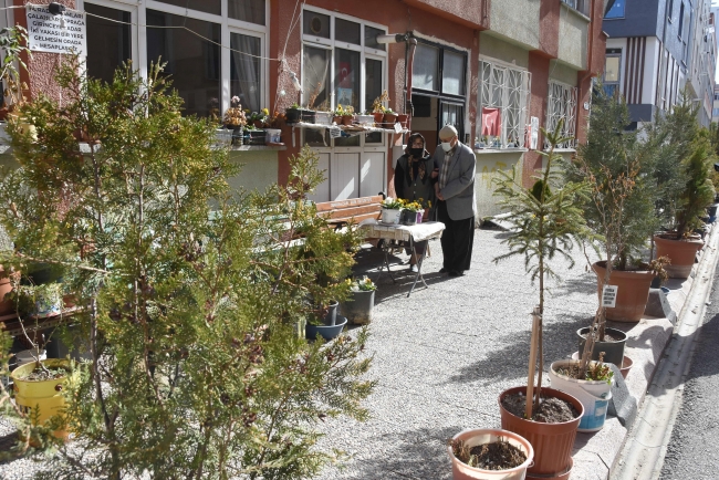 Felçli eşi için sokağı çiçek bahçesine çevirdi