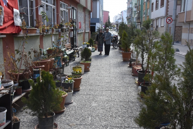 Felçli eşi için sokağı çiçek bahçesine çevirdi
