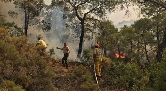 Fethiye'de orman yangını