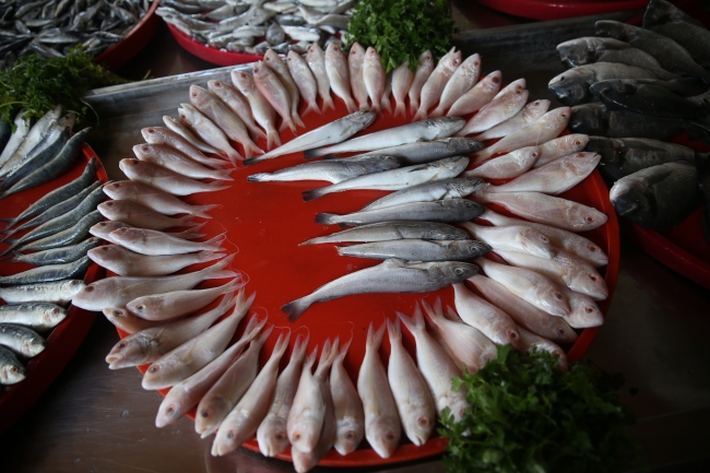 Şanlıurfa, balık üretimiyle de adından söz ettiriyor