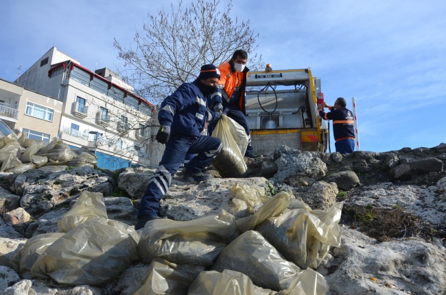 İstanbul'daki fırtına çöpleri sahile taşıdı