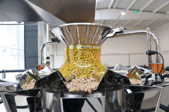 Siirt fıstığı dünyaya açılıyor