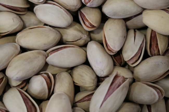 Siirt fıstığı dünyaya açılıyor