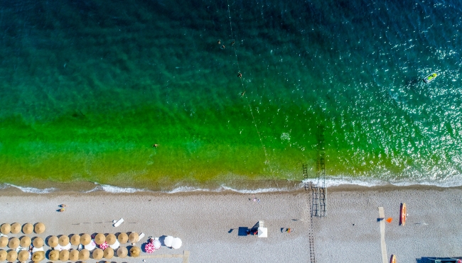 Konyaaltı Sahili'nde deniz yeşile döndü, tatilciler korktu